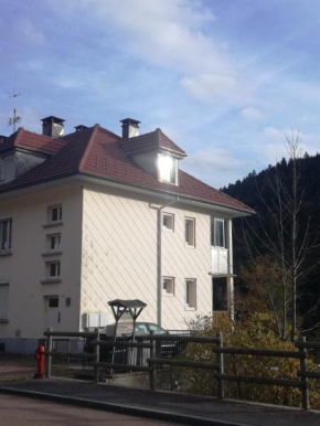 Moselotte La Bresse